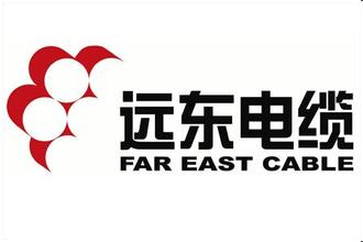 遠東電線電纜